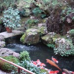 Teahouse Koi Garden