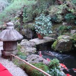 Teahouse Koi Garden