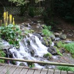 Roadside Waterfall