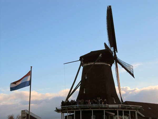 This particular mill is named 'Het Jonge Schaap' (The Young Sheep).